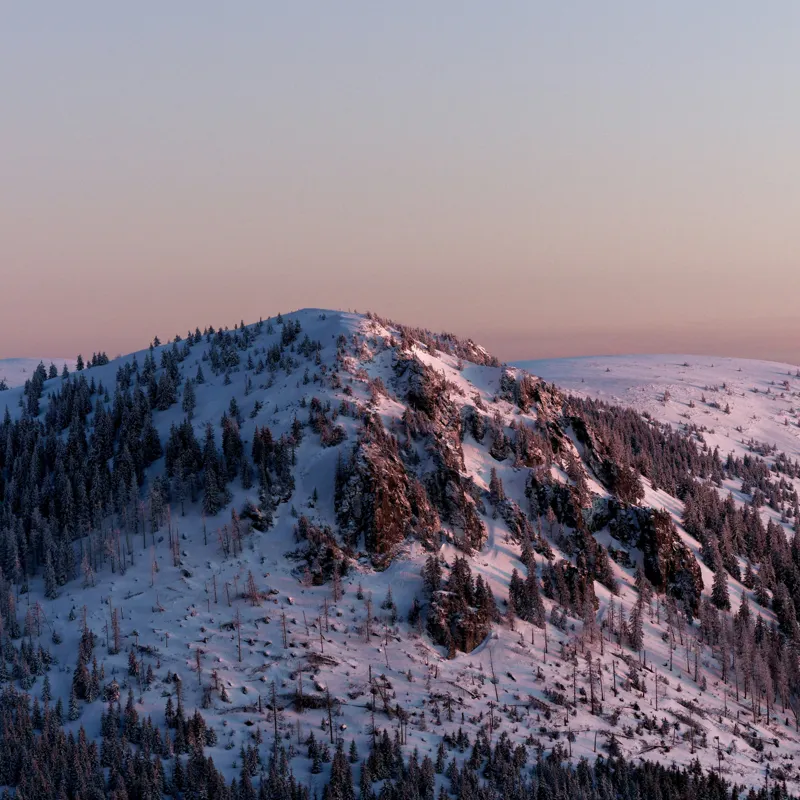 Tablou Canvas, "Însoritul vârf alpin acoperit de zăpadă", Pădure, Zăpadă, Răsărit, Munte, Serenitate, Îngheț, Liniște, Frumusețe., 50 x 50 cm – poza 2