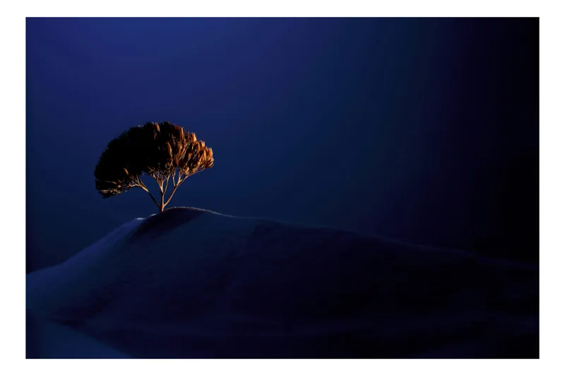 Tablou Canvas, "Solitară lumină în noapte albastră", 39 x 26 cm