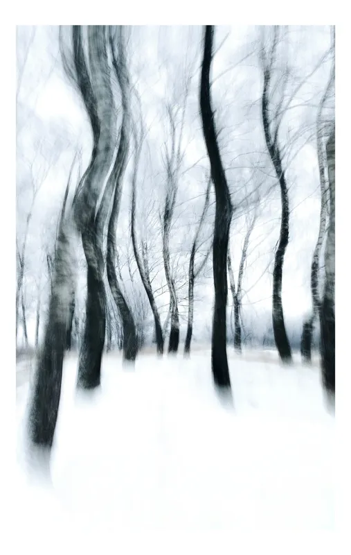 Tablou Canvas Abstract, Pădurea Înghețată în Dansul Vântului, , Alb și Negru, 39 x 54 cm