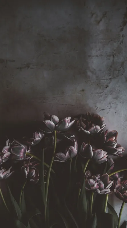 Tablou Canvas, "Flori de lalea în penumbră misterioasă", Flori, Lalele, Umbre, Textură, Întunecat, Elegant, Natural, Bogat, Contrast, Delicat, 50 x 90 cm – poza 2
