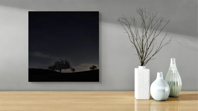 Tablou Canvas Peisaj Nocturn cu Cer Înstelat - Artă și Liniște, 50 x 50 cm – poza 3