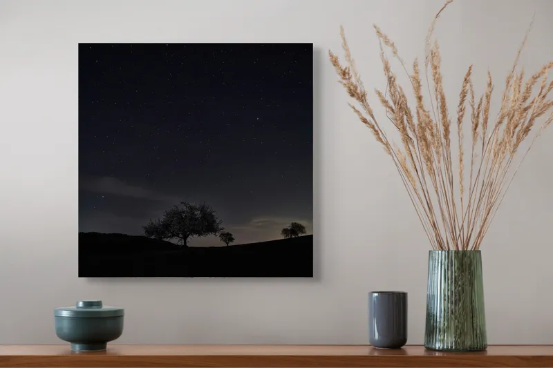 Tablou Canvas Peisaj Nocturn cu Cer Înstelat - Artă și Liniște, 50 x 50 cm – poza 4