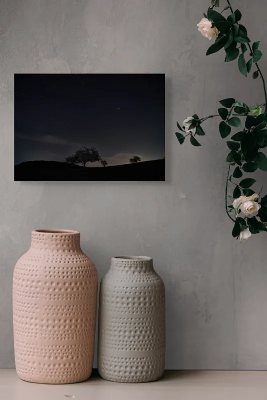 Tablou Canvas Peisaj Nocturn cu Cer Înstelat - Artă și Liniște, 54 x 39 cm – poza 8