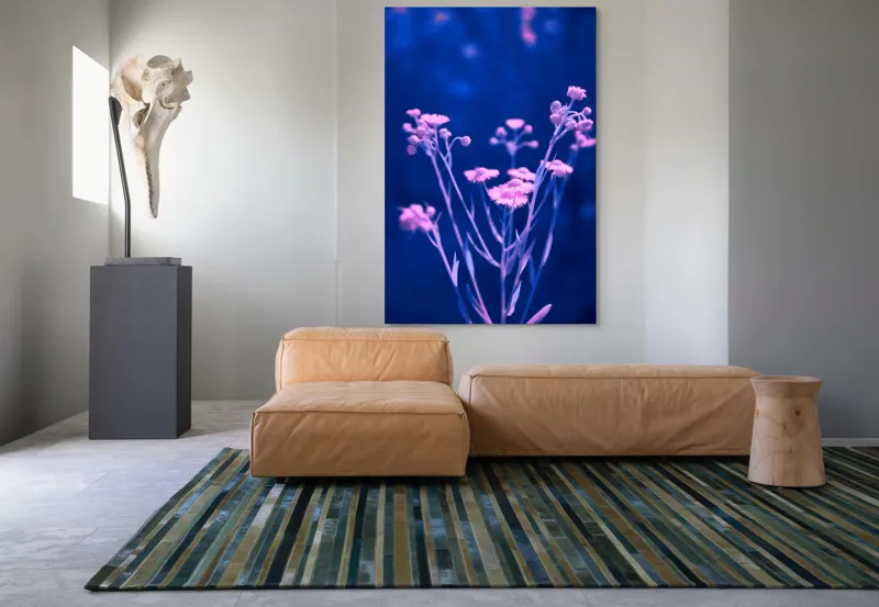 Tablou Canvas, "Flori în nuanțe de albastru și roz", Flori, Delicate, Albastru, Roz, Fragil, Senin, Misterios, Nocturn, Contrast, Viu, 100 x 150 cm – poza 7