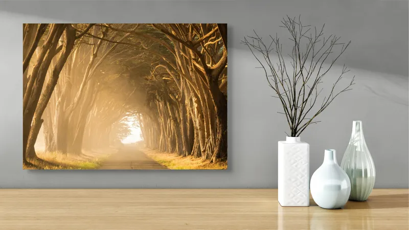 Tablou Canvas Drumul dintre copaci aurii în zori, 70 x 50 cm – poza 3