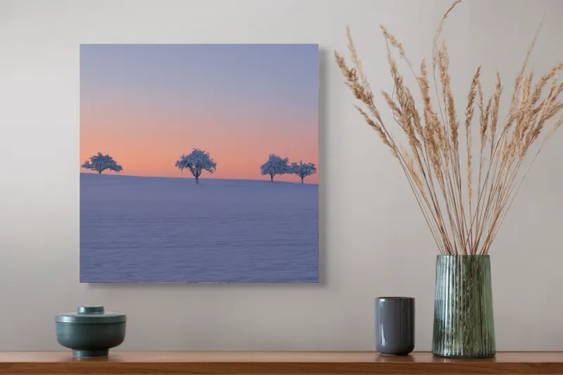 Tablou Canvas pe tema Dansul Tăcut al Iernii, 50 x 50 cm – poza 2