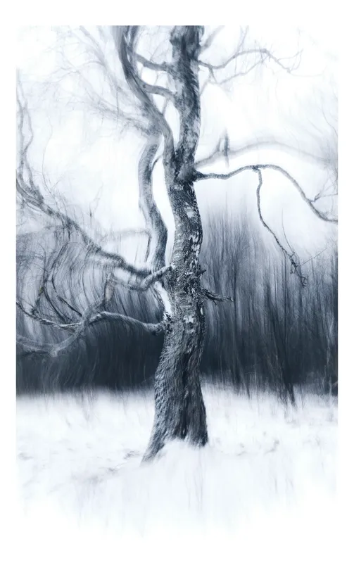 Tablou Canvas pe tema Copacul în iarna eternă, artă spectrală și melancolică, 50 x 90 cm