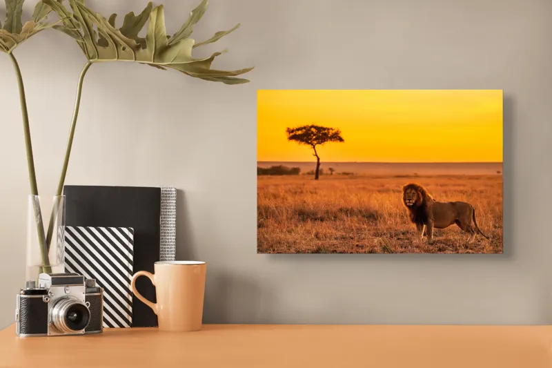 Tablou Canvas, "Leul stăpân al savanei africane", Leu, Apus, Savana, Solitudine, Serenitate, Auriu, Natură, Măreție, 39 x 26 cm – poza 3