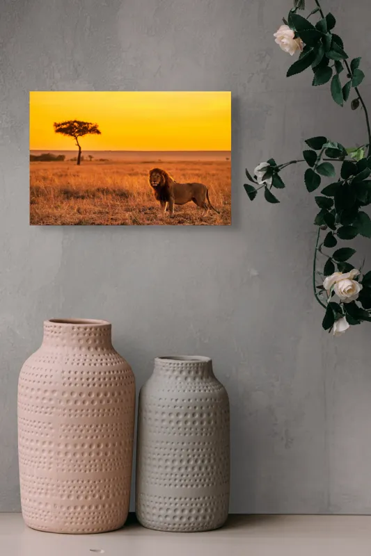 Tablou Canvas, "Leul stăpân al savanei africane", Leu, Apus, Savana, Solitudine, Serenitate, Auriu, Natură, Măreție, 39 x 26 cm – poza 4