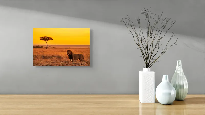 Tablou Canvas, "Leul stăpân al savanei africane", Leu, Apus, Savana, Solitudine, Serenitate, Auriu, Natură, Măreție, 39 x 26 cm – poza 8