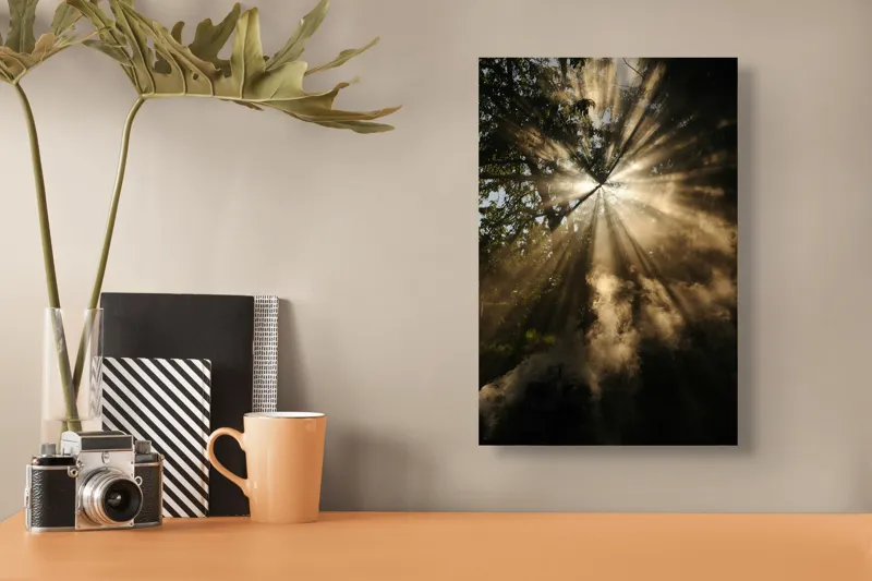 Tablou Canvas, Lumina magică în pădurea înflorită, 26 x 39 cm – poza 3