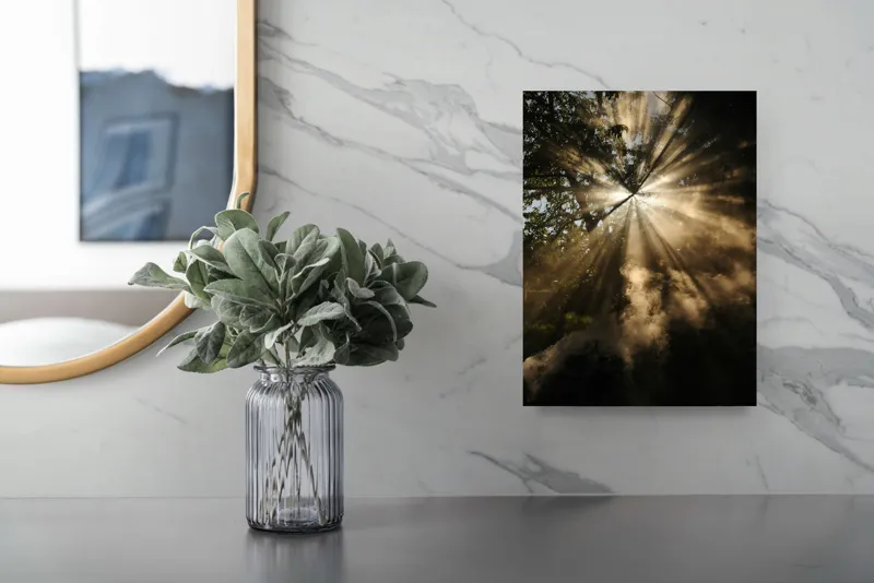 Tablou Canvas, Lumina magică în pădurea înflorită, 26 x 39 cm – poza 4