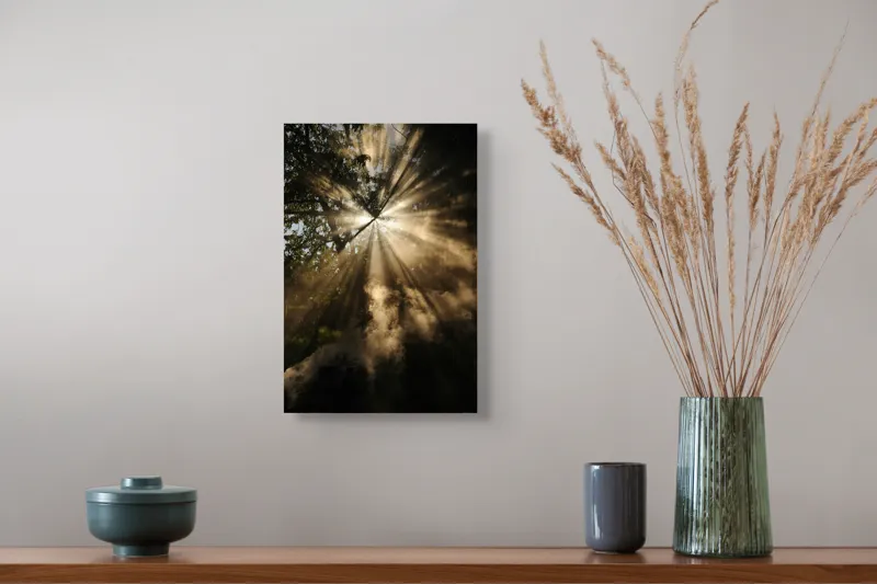 Tablou Canvas, Lumina magică în pădurea înflorită, 26 x 39 cm – poza 5