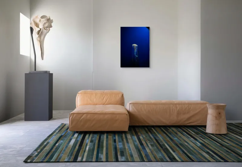 Tablou Canvas Meduze Regale Baletul Solitar, 50 x 70 cm – poza 7