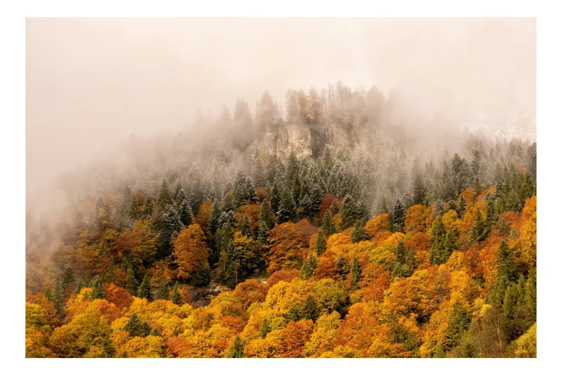 Tablou Canvas cu Peisaj Montan de Toamnă, , Multicolor, 100 x 70 cm