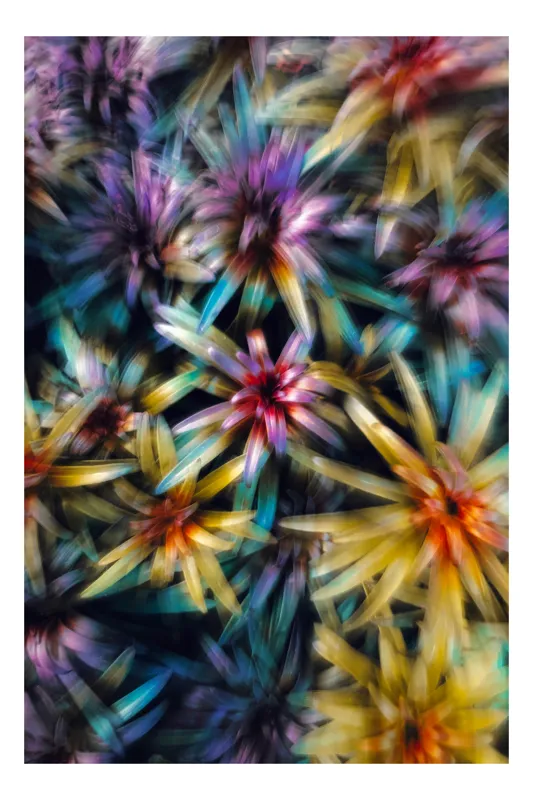 Tablou Canvas cu design floral abstract pentru decorarea casei, 70 x 100 cm