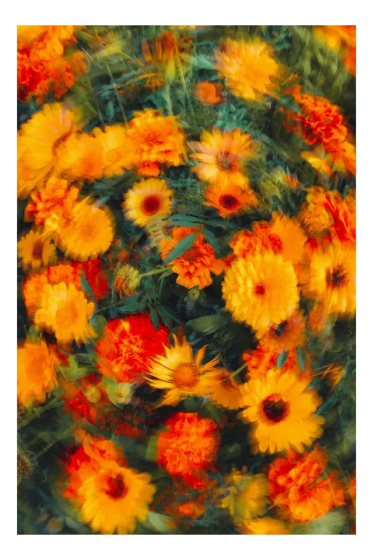 Tablou Canvas Rapsodie Vibrantă în Grădina Timpului, 39 x 54 cm