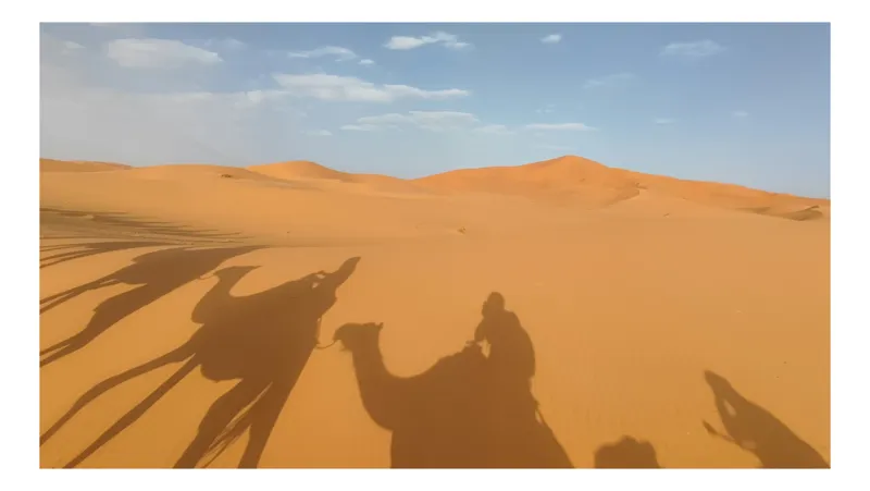 Tablou Canvas Umbre călătoare pe nisipuri aurii siluete camel, 100 x 100 cm