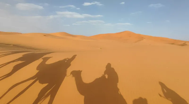 Tablou Canvas Umbre călătoare pe nisipuri aurii siluete camel, 90 x 50 cm – poza 2