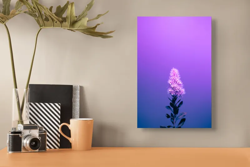 Tablou Canvas, "Misterul culorilor nocturne al florii", Floare, Violet, Luminozitate, Fundal, Gradient, Frunze, Contrast, Singurătate, Delicatețe, 26 x 39 cm – poza 3