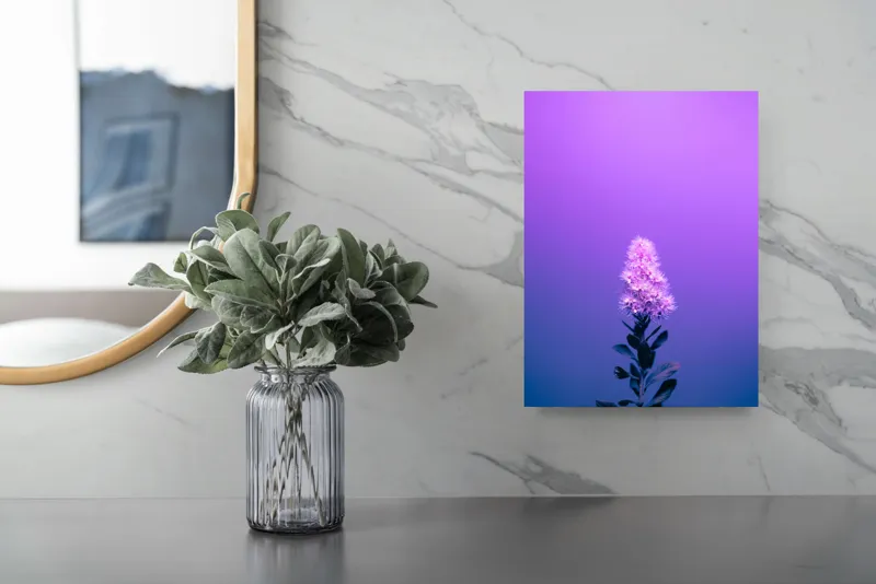 Tablou Canvas, "Misterul culorilor nocturne al florii", Floare, Violet, Luminozitate, Fundal, Gradient, Frunze, Contrast, Singurătate, Delicatețe, 26 x 39 cm – poza 4