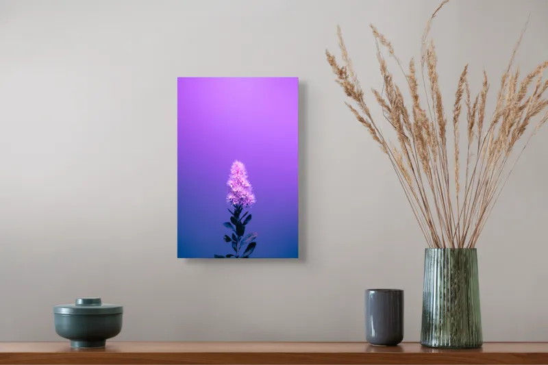 Tablou Canvas, "Misterul culorilor nocturne al florii", Floare, Violet, Luminozitate, Fundal, Gradient, Frunze, Contrast, Singurătate, Delicatețe, 26 x 39 cm – poza 5