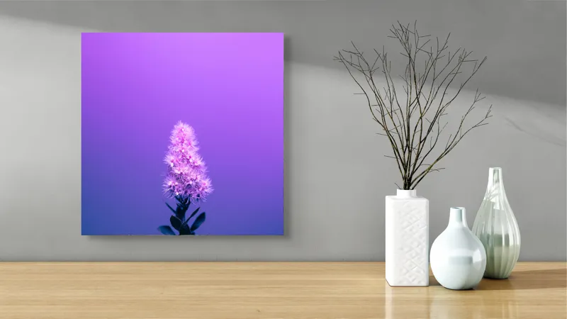 Tablou Canvas, "Misterul culorilor nocturne al florii", Floare, Violet, Luminozitate, Fundal, Gradient, Frunze, Contrast, Singurătate, Delicatețe, 50 x 50 cm – poza 3