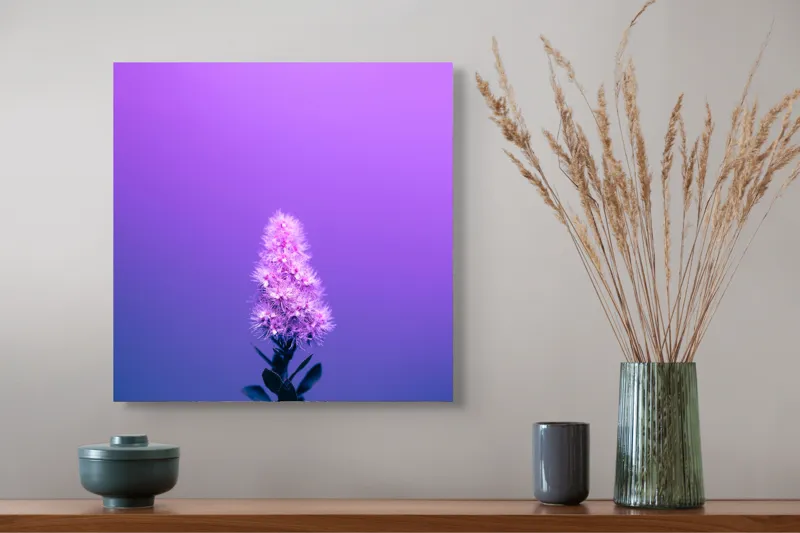 Tablou Canvas, "Misterul culorilor nocturne al florii", Floare, Violet, Luminozitate, Fundal, Gradient, Frunze, Contrast, Singurătate, Delicatețe, 50 x 50 cm – poza 4
