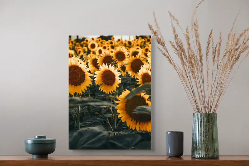 Tablou Canvas Câmpul Magnific al Florilor de Floarea-soarelui Vară Natură, 39 x 54 cm – poza 3