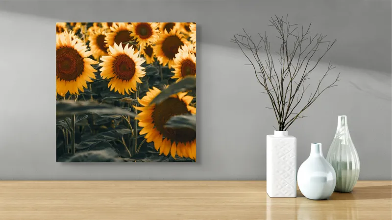 Tablou Canvas Câmpul Magnific al Florilor de Floarea-soarelui Vară Natură, 50 x 50 cm – poza 3