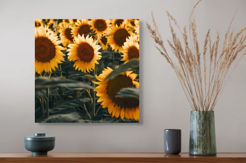 Tablou Canvas Câmpul Magnific al Florilor de Floarea-soarelui Vară Natură, 50 x 50 cm – poza 4