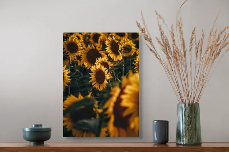 Tablou Canvas, "Dansul soarelui printre flori aurii", Flori, Soare, Galben, Tablou, Grădină, Petale, Verde, Natură, Lumină, Vară, 39 x 54 cm – poza 3