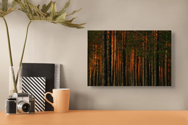 Tablou Canvas, "Pădurea la apusul soarelui", Copaci, Pădure, Apus, Lumină, Trunchiuri, Verdeață, Natură, Peisaj., 39 x 26 cm – poza 3