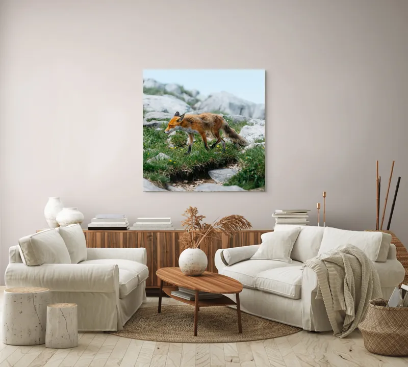 Tablou Canvas Natură Vulpe în Habitatul Stâncos de Munte, 100 x 100 cm – poza 3