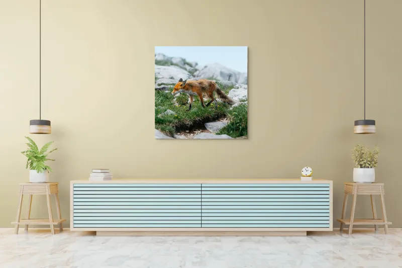 Tablou Canvas Natură Vulpe în Habitatul Stâncos de Munte, 100 x 100 cm – poza 5