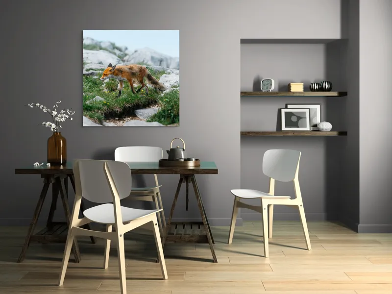 Tablou Canvas Natură Vulpe în Habitatul Stâncos de Munte, 100 x 100 cm – poza 6