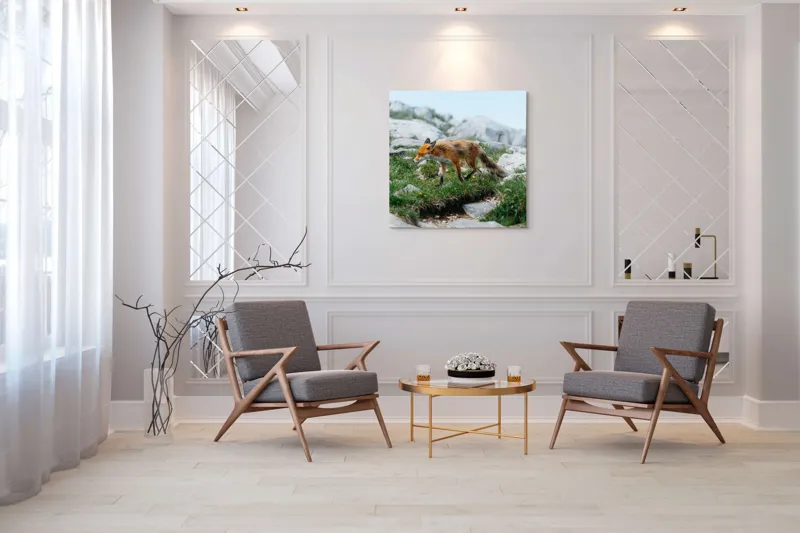 Tablou Canvas Natură Vulpe în Habitatul Stâncos de Munte, 100 x 100 cm – poza 7
