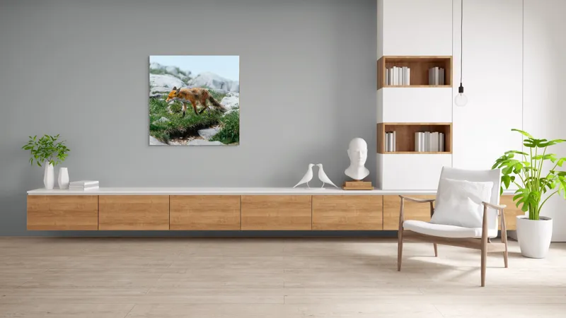 Tablou Canvas Natură Vulpe în Habitatul Stâncos de Munte, 100 x 100 cm – poza 8