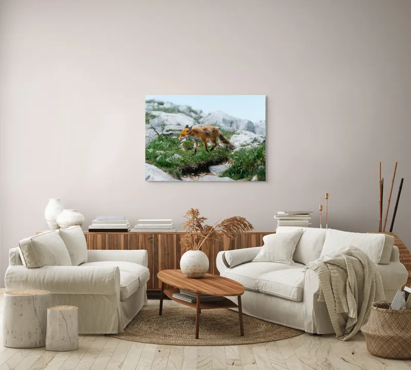 Tablou Canvas Natură Vulpe în Habitatul Stâncos de Munte, 100 x 70 cm – poza 3