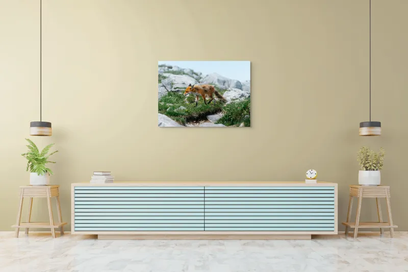 Tablou Canvas Natură Vulpe în Habitatul Stâncos de Munte, 100 x 70 cm – poza 4