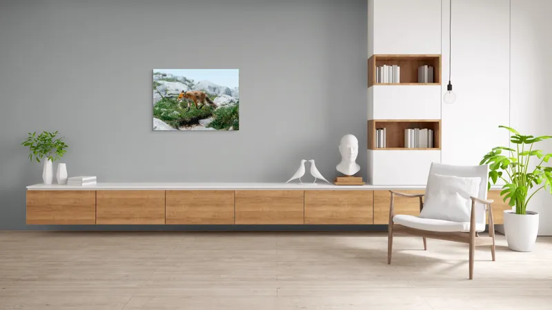 Tablou Canvas Natură Vulpe în Habitatul Stâncos de Munte, 100 x 70 cm – poza 6