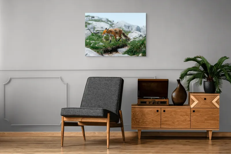 Tablou Canvas Natură Vulpe în Habitatul Stâncos de Munte, 100 x 70 cm – poza 8