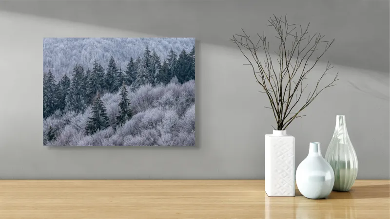 Tablou Canvas Pădurea Înghețată în Tăcerea Iernii, 54 x 39 cm – poza 3