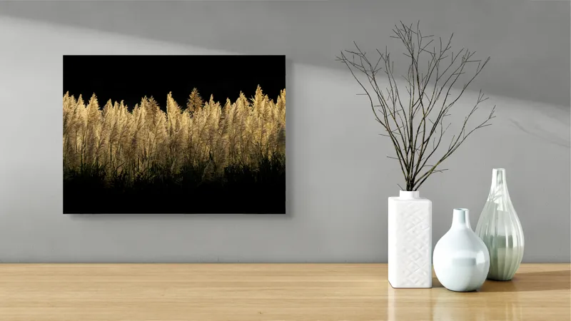 Tablou Canvas Dansul ierburilor în lumina lunii, 54 x 39 cm – poza 3