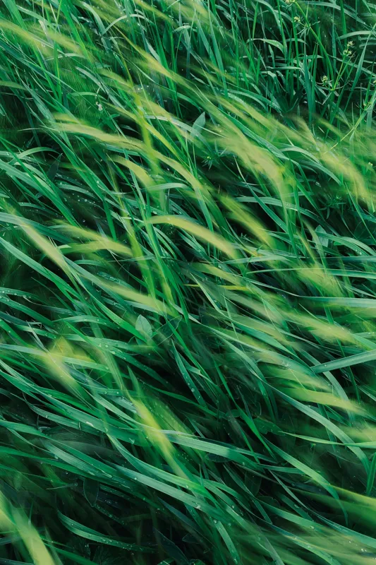 Tablou Canvas cu tema vântului verde smarald, 100 x 150 cm – poza 2