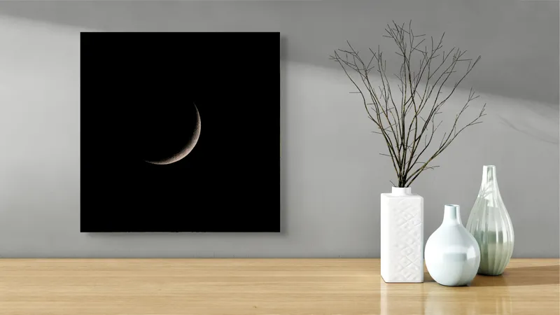 Tablou Canvas Argint Lunii Noapte Profundă Artă Murală, 50 x 50 cm – poza 3