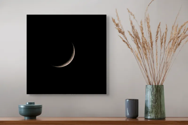 Tablou Canvas Argint Lunii Noapte Profundă Artă Murală, 50 x 50 cm – poza 4