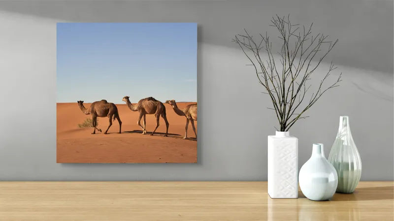 Tablou Canvas Caravana liniștită în deșertul nesfârșit, 50 x 50 cm – poza 3