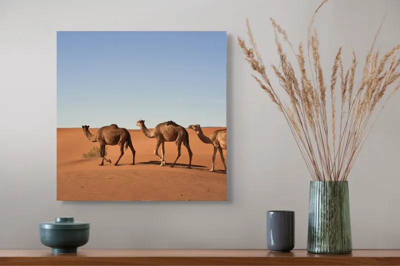 Tablou Canvas Caravana liniștită în deșertul nesfârșit, 50 x 50 cm – poza 4