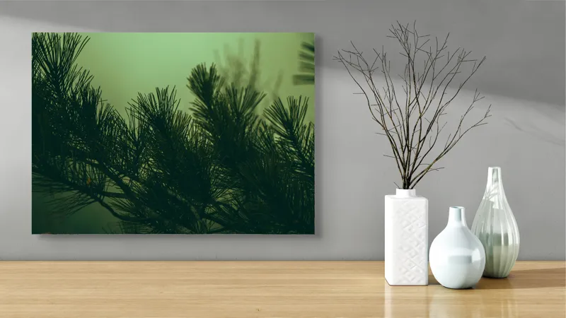 Tablou Canvas Ramurile unui pin în ceață misterioasă Natură Verde Siluetă, 70 x 50 cm – poza 3